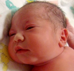 Alyssa Robin Zelinka